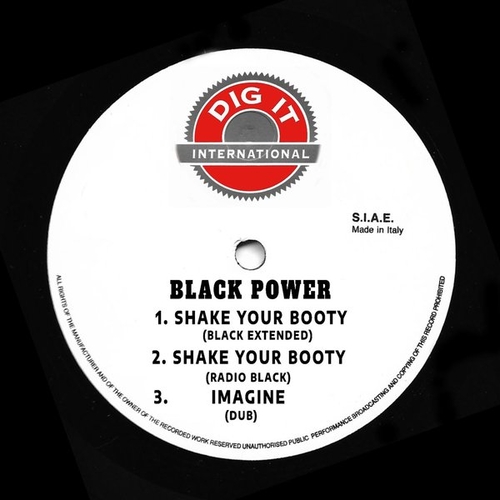 Black Power - Shake Your Booty [DMX 10428]